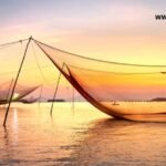 www.quotela.net