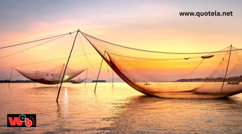 www.quotela.net